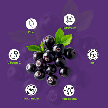 ORGANIC JAMUN POWDER Natural Blood Sugar Support & Digestive Health