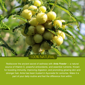 Organic Amla Powder | Smaart health