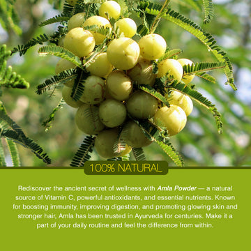 AMLA POWDER 100GM