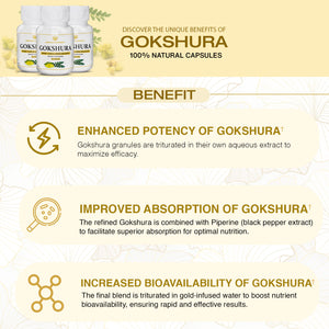 Dr. Pushp's Arogyam Ayurvedm Gokshura Capsules | Ayurvedic Kidney Care Support | 60 Capsules