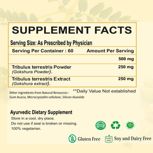 Dr. Pushp's Arogyam Ayurvedm Gokshura Capsules | Ayurvedic Kidney Care Support | 60 Capsules