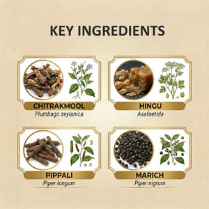 AROGYAM AYURVEDM Chitrakadi Vati