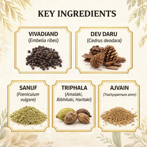 Panchatikta Ghrit Guggulu Capsules | Natural Skin Detox & Blood Cleansing Support Formula