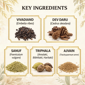 Panchatikta Ghrita Guggulu Capsules | Natural Skin Detox & Blood Cleansing Support Formula