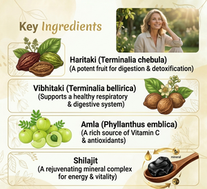 Dr Pushp's  AROGYAM  AYURVEDM Arogya Rasayan Vati useful in Liver Disorders