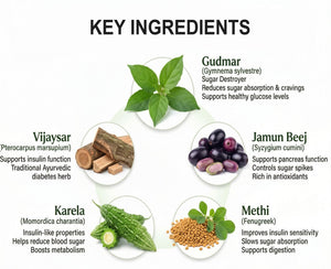 Diaherbal Capsules | Dr. Pushp Arogyam Ayurvedm
