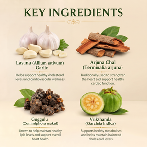Lipi-Wel Capsules | Dr. Pushp Arogyam Ayurvedm
