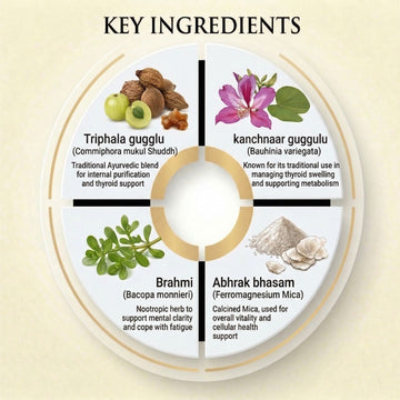 AROGYAM AYURVEDM Thyro Wel Support Thyroid Hormone Function, Improve Metabolism, Supplement Boosts Energy Level