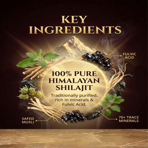 Dr. Pushp's AROGYAM AYURVEDM SHILAJIT CAPSULES – Stamina and Energy- 60 Veg Capsules