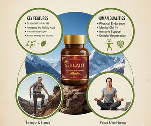 Dr. Pushp's AROGYAM AYURVEDM SHILAJIT CAPSULES – Stamina and Energy- 60 Veg Capsules